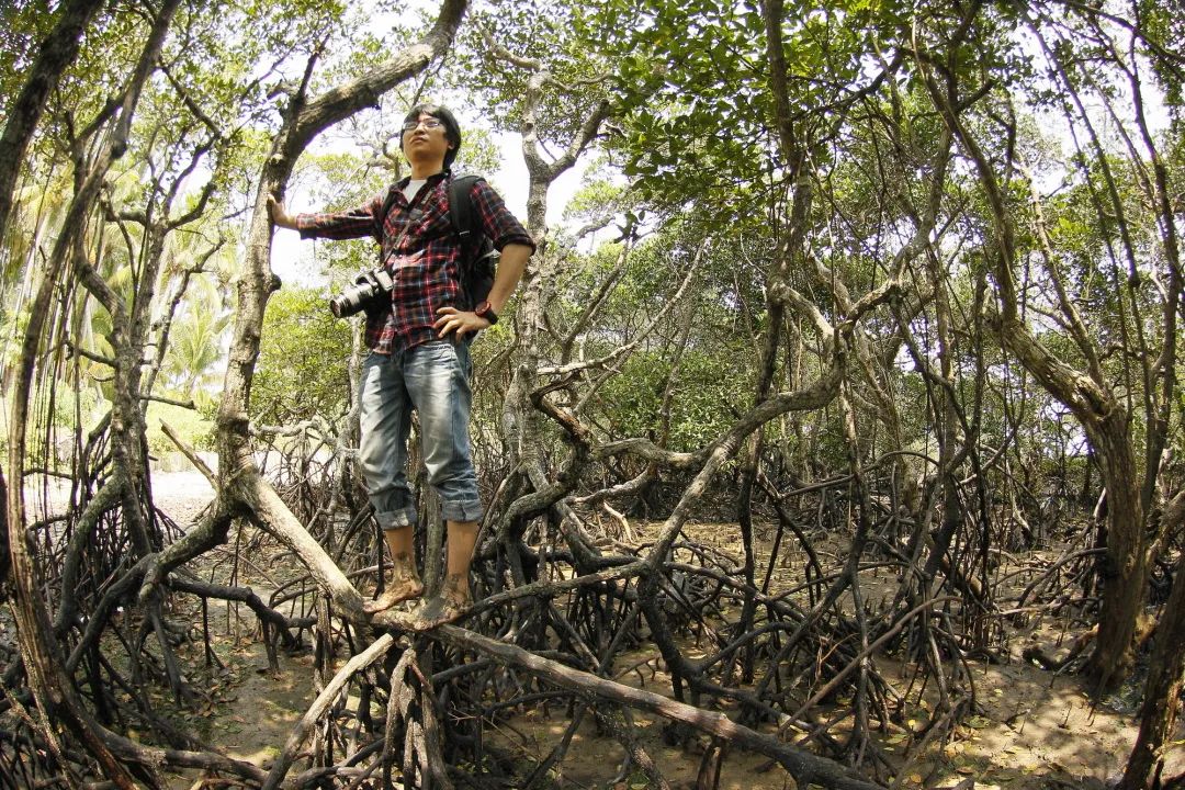守護紅樹林的風 已吹拂二十二年