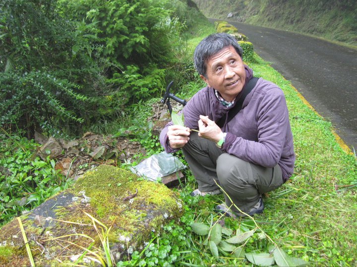 呂光洋 開啟台灣山椒魚研究史