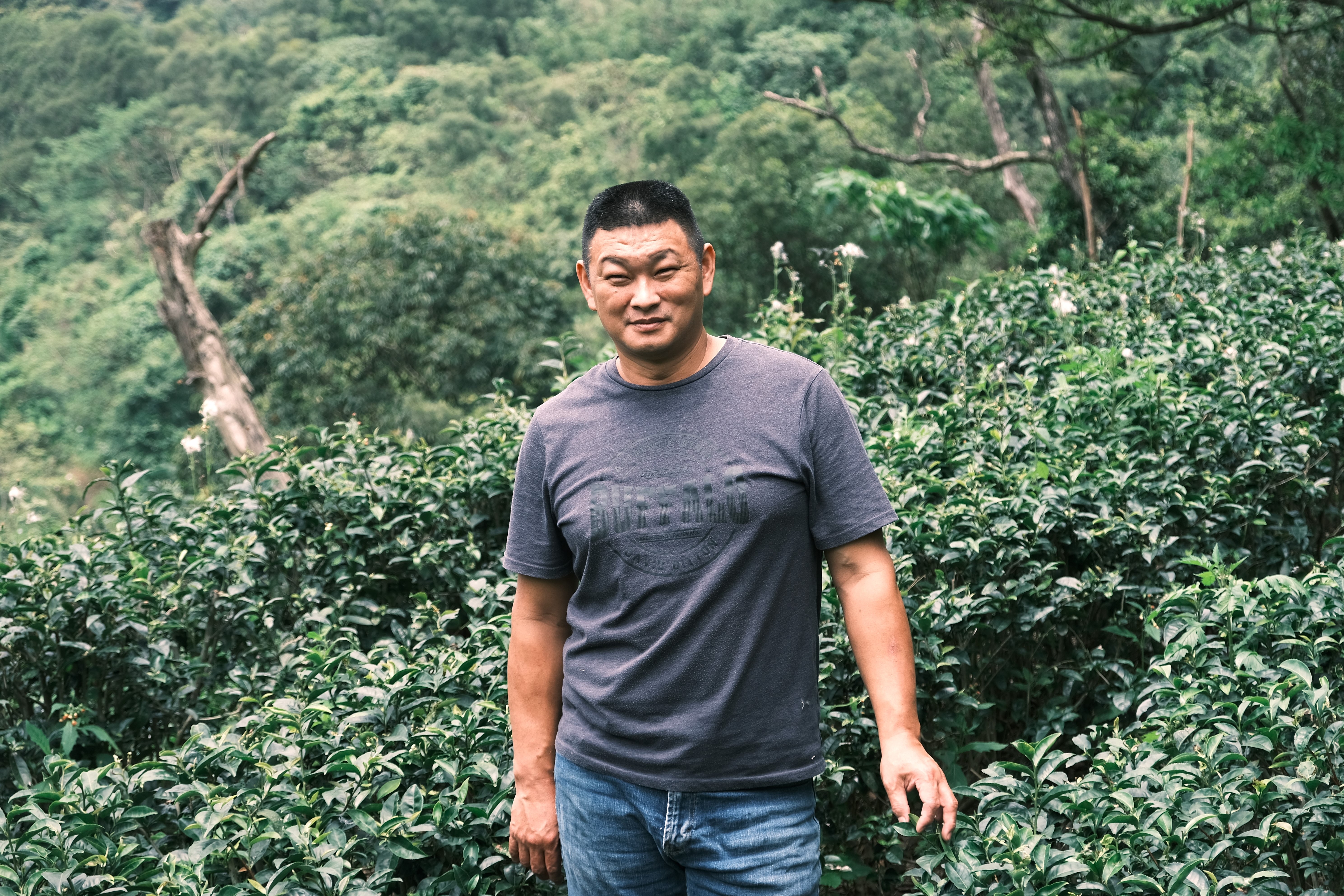 茶園建微氣象站 蔡旭志以數據輔助種茶