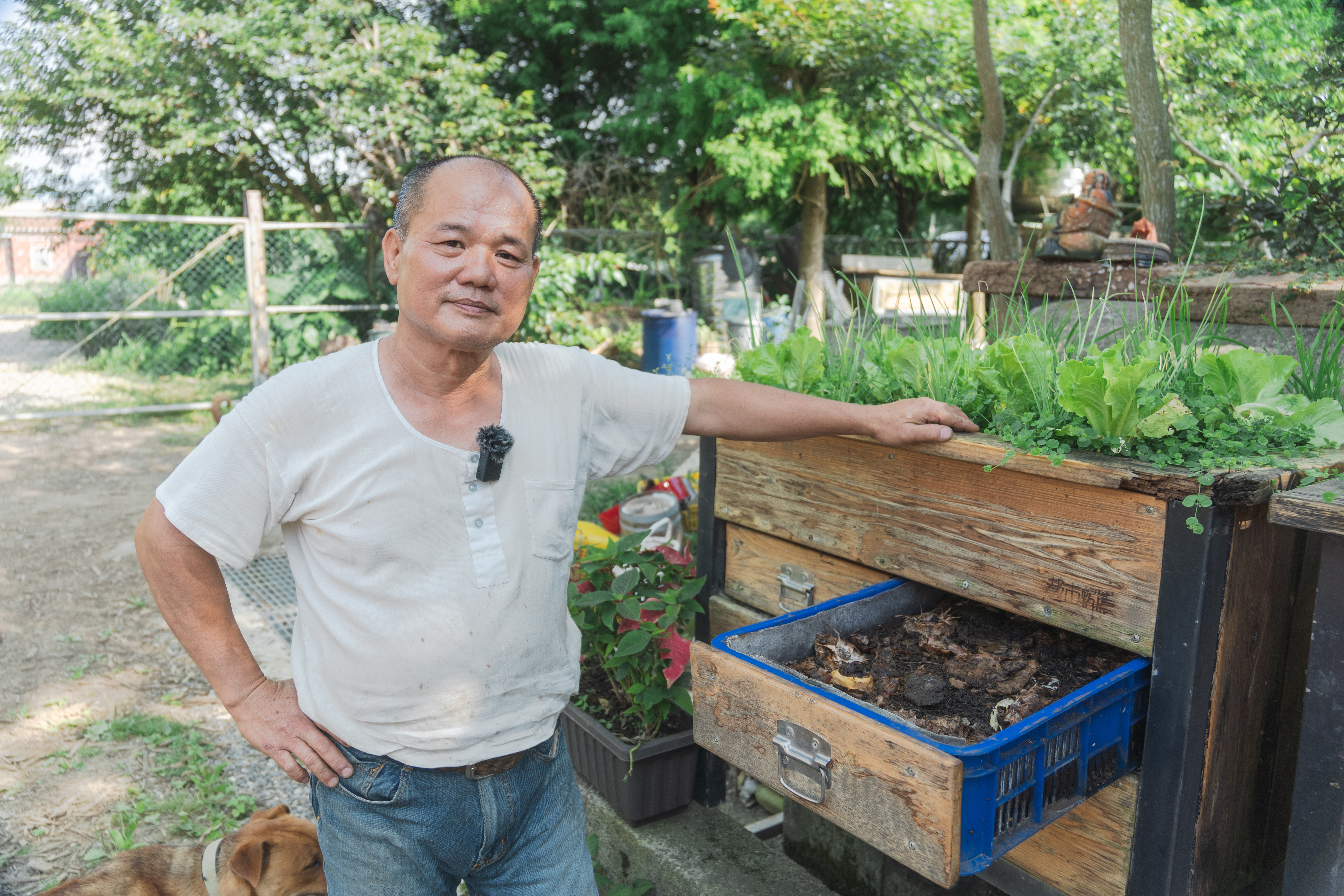 養蚯蚓分解廚餘 李朝安推廣生物箱