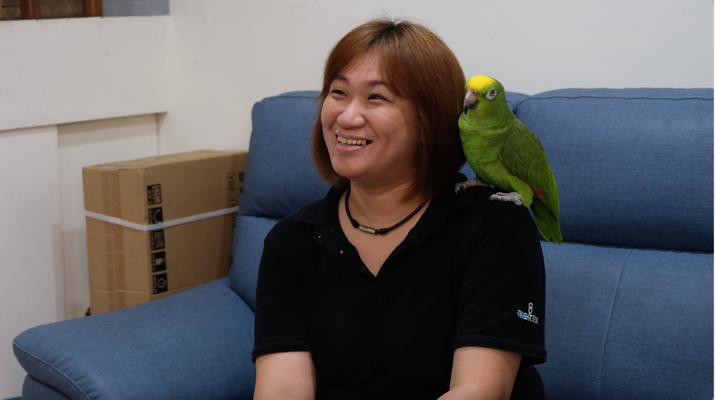臺灣鸚鵡保護協會 用愛救援浪鳥與病鳥