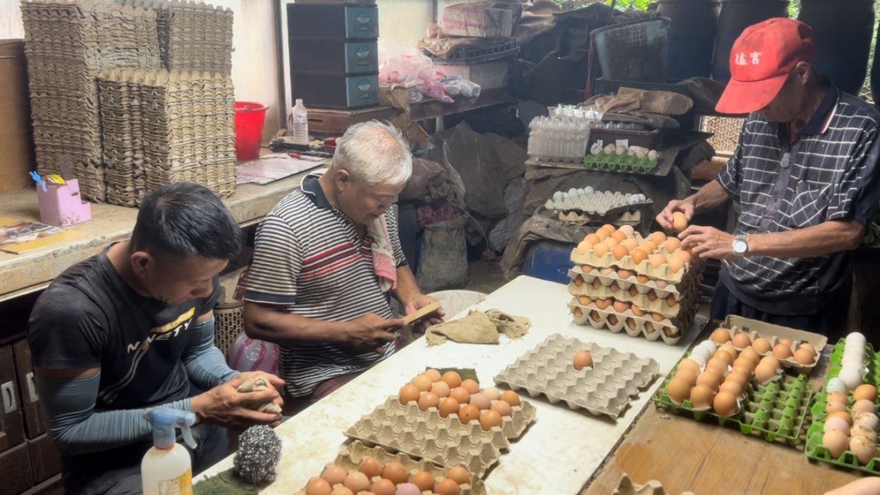魚菜禽共生 馮明芳打造自然農場