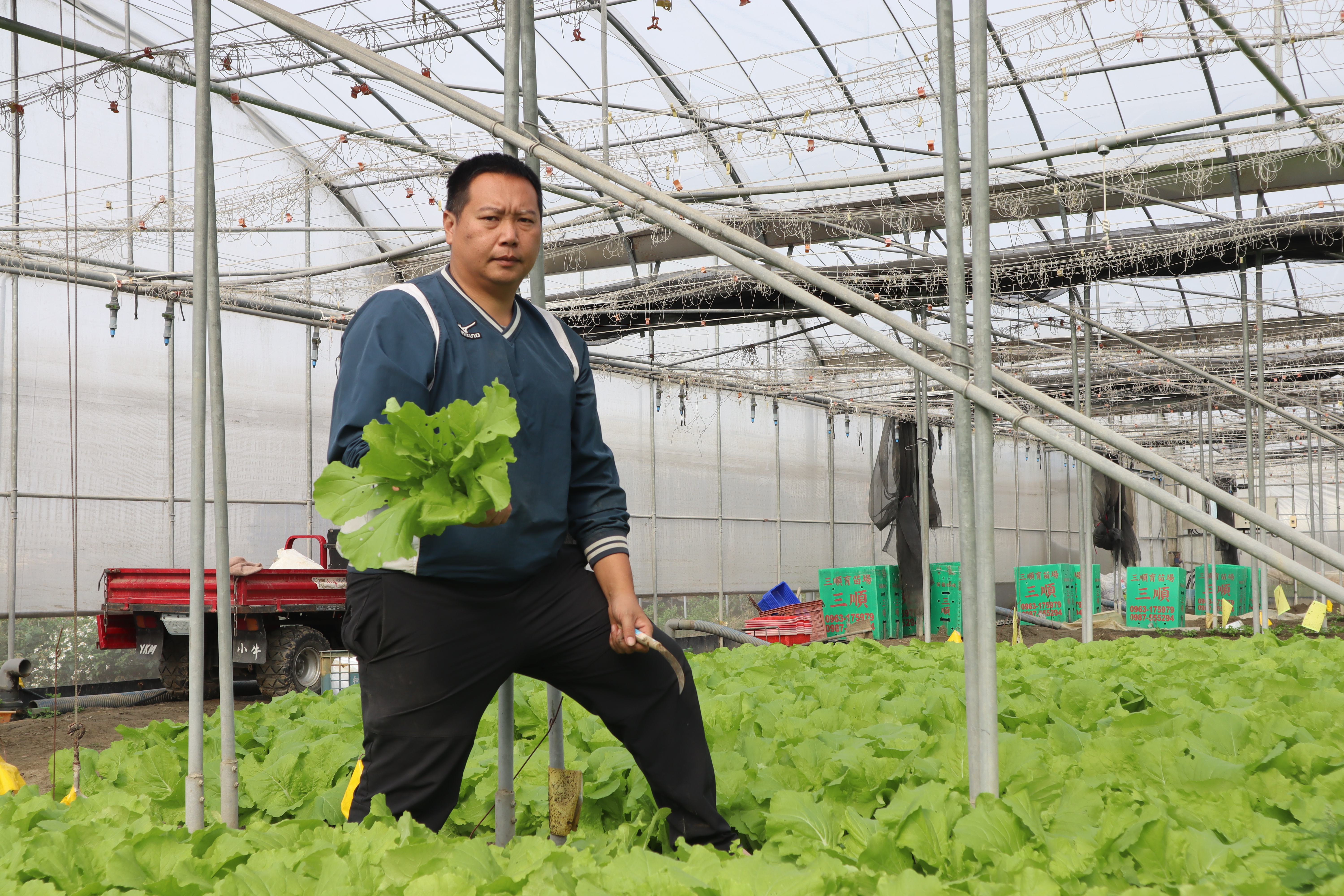 蜜糖養菌種好菜 青農吳家禎讓親友吃得健康