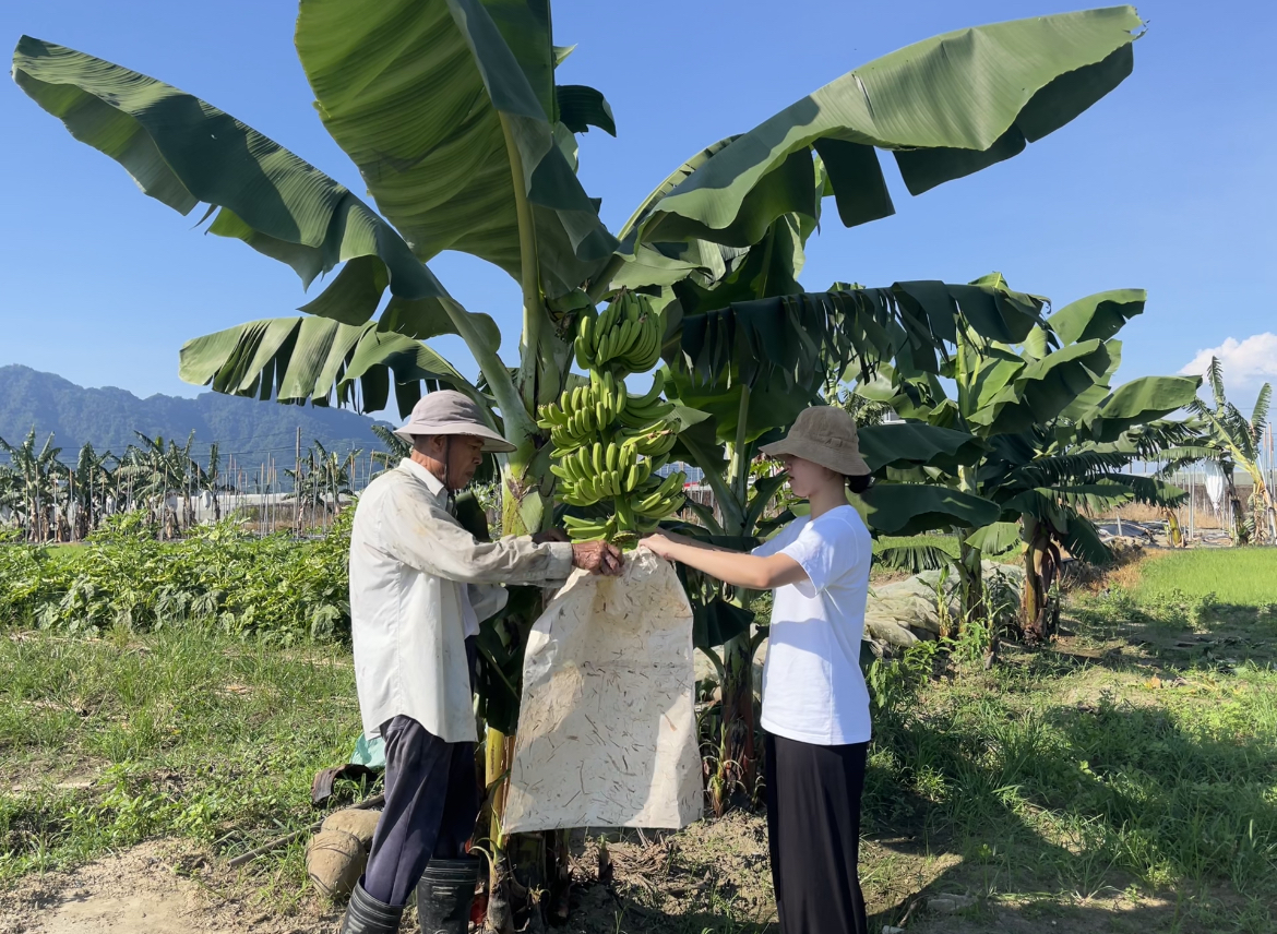 廢蕉葉做成智慧袋 張妍推動循環農業助蕉農