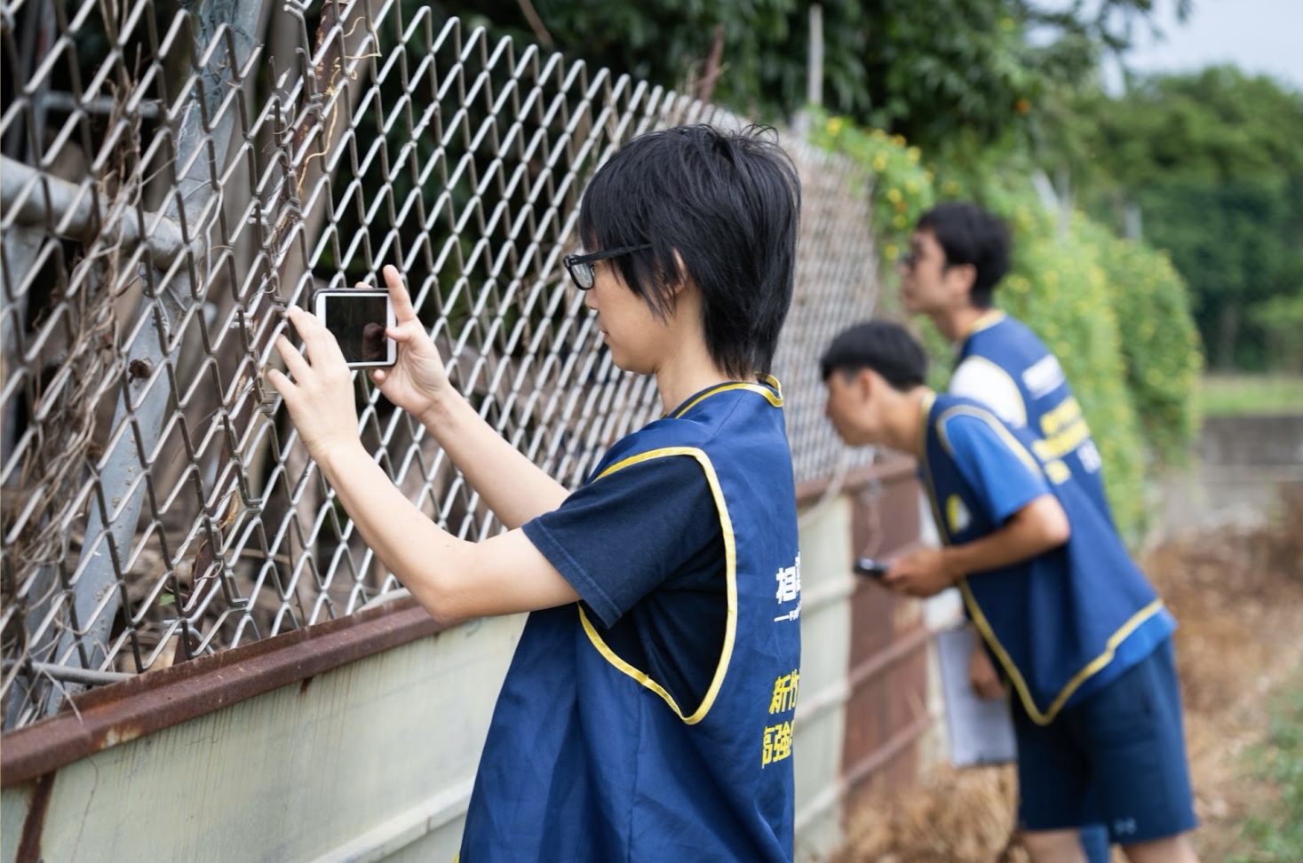 新北浪犬減少45% 「相信動物」高強度絕育奏功