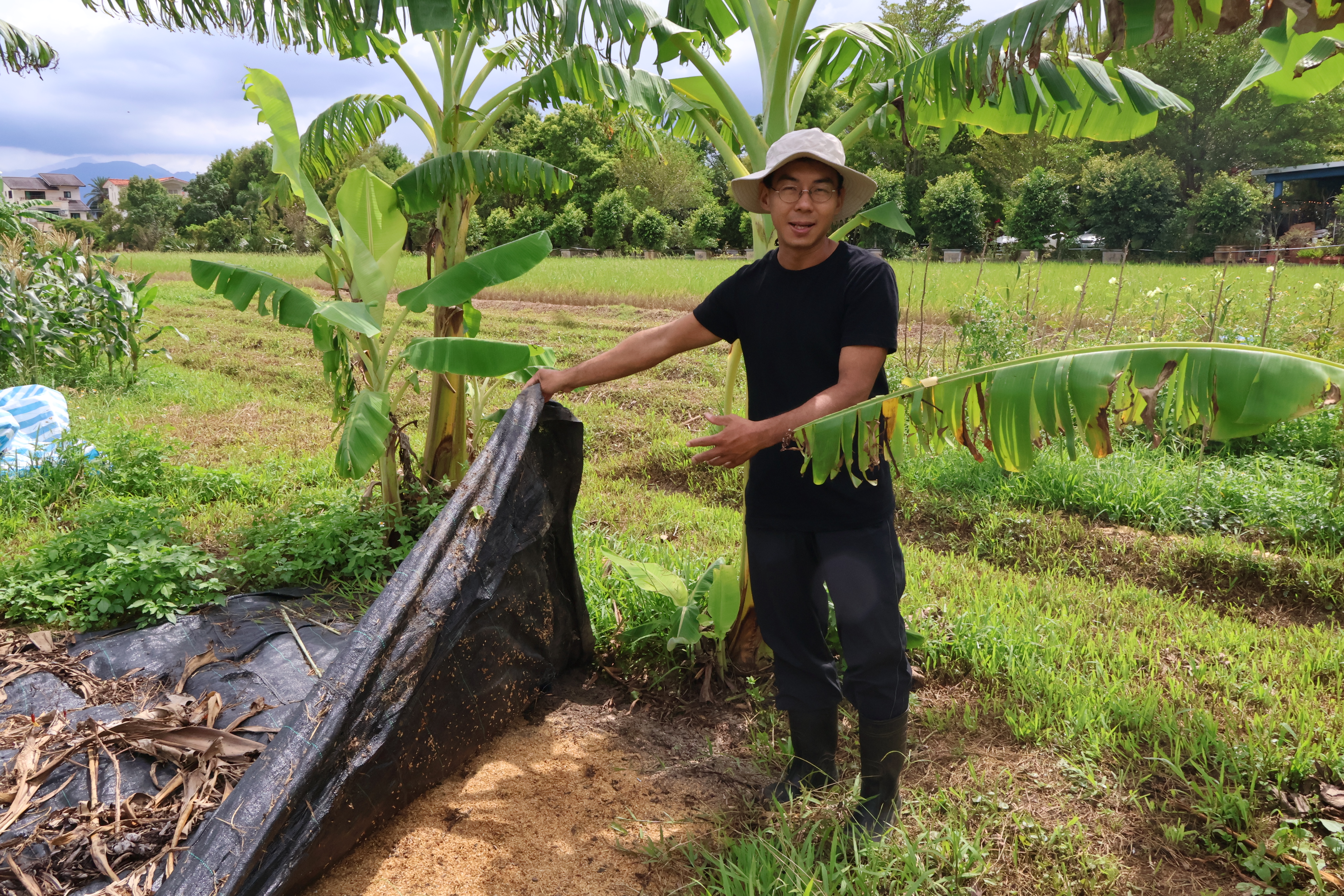 有蚯蚓才肥沃 陳幸延自製堆肥讓農地活過來