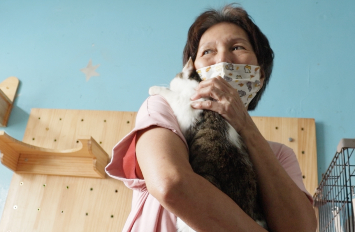 賣四間房救千隻貓 許淑英守護浪浪20年