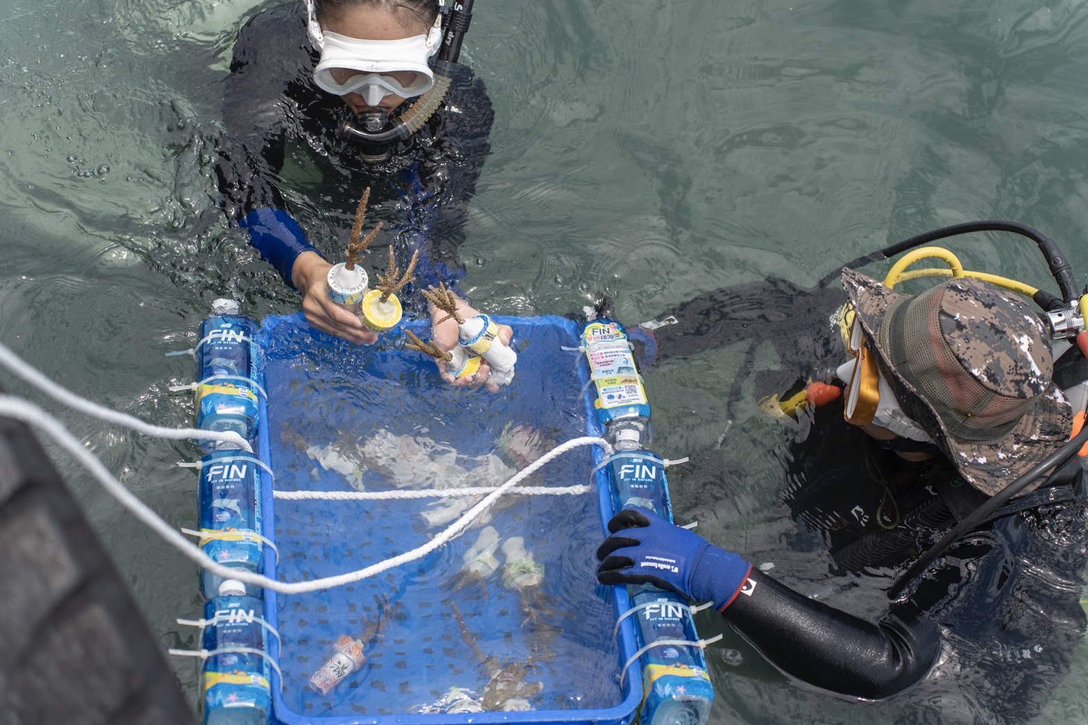 潛進垃圾海山海天使潛水清除海廢護珊瑚