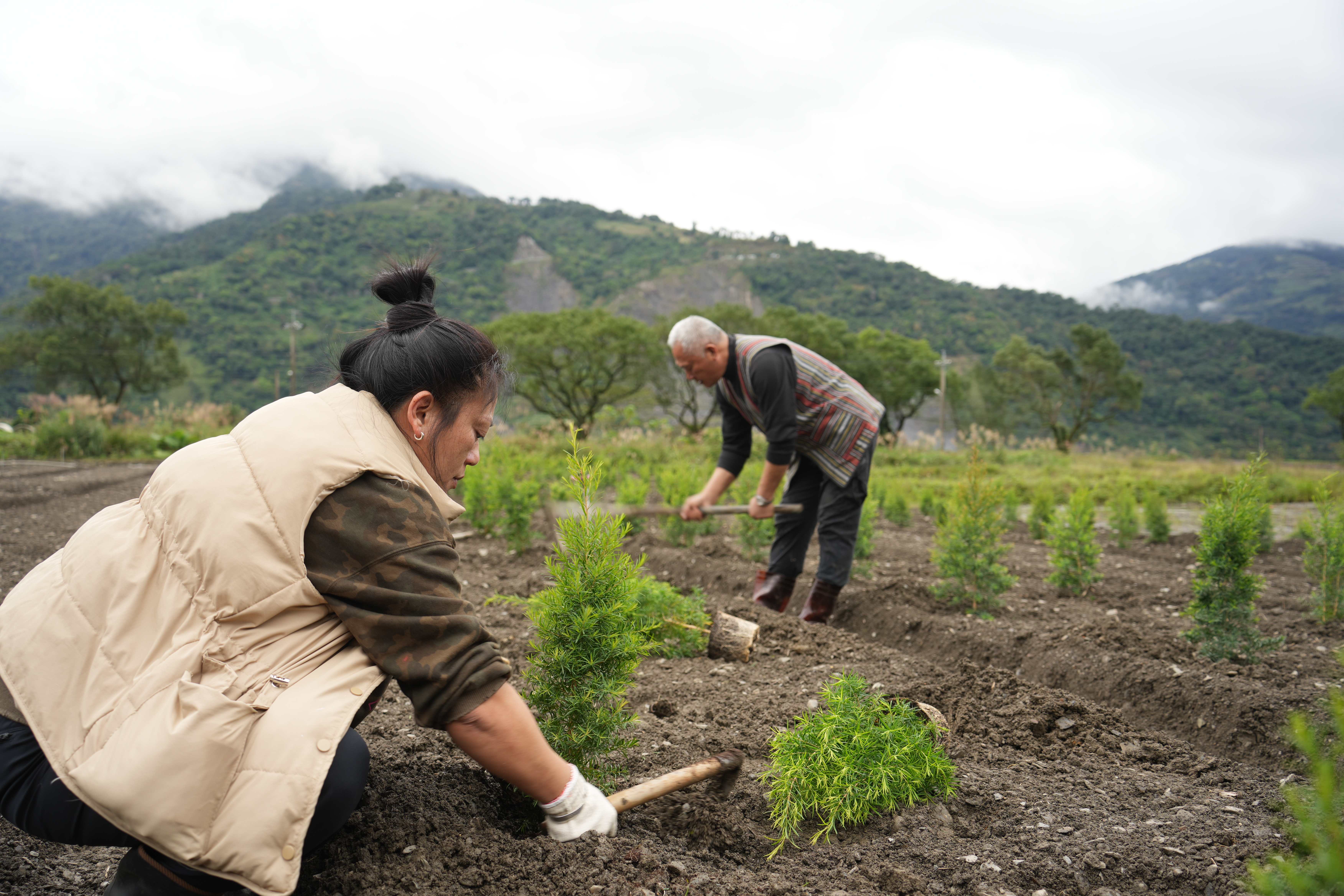 土地工工青銀共創  一坪地種出弱勢守護力