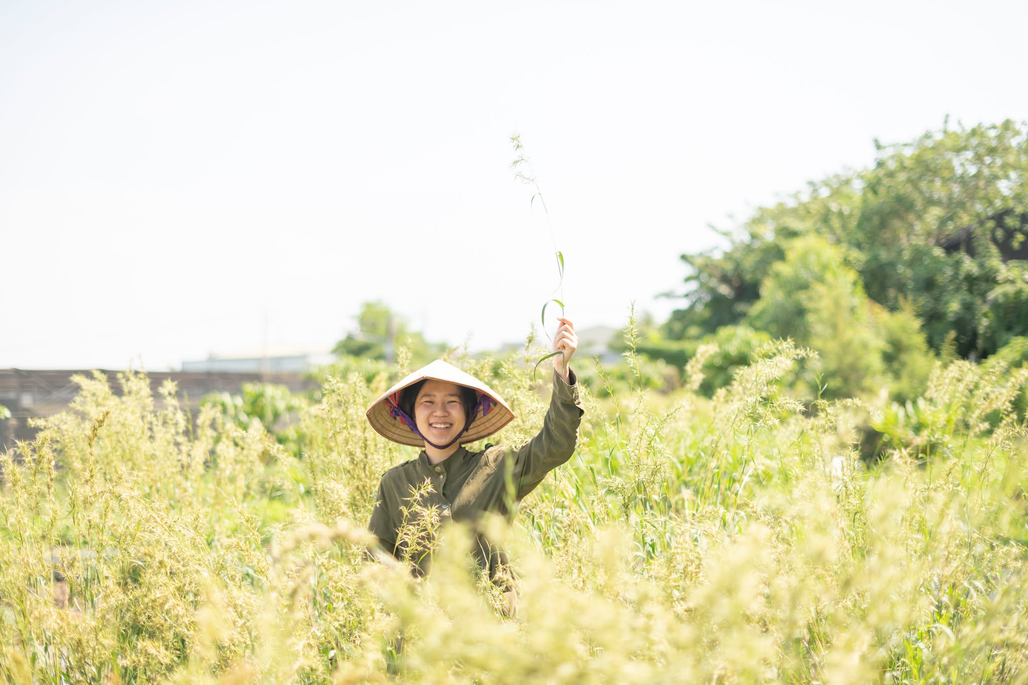 芳療師親種艾草月桃 提煉無毒純露療癒父親